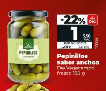 Dia Vegecampo - Pepinillos Sabor Anchoa