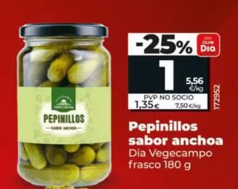 Dia Vegecampo - Pepinillos Sabor Anchoa
