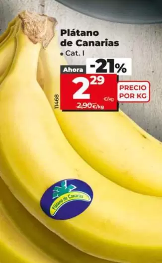 Platano De Canarias