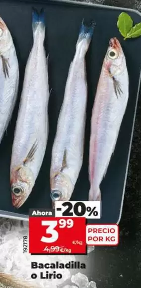 Bacaladilla O Lirio