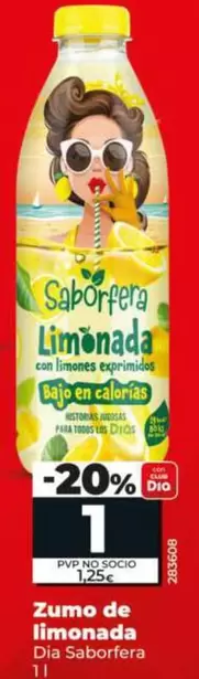 Dia Saborfera - Zumo De Limonada