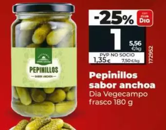 Dia Vegecampo - Pepinillos Sabor Anchoa
