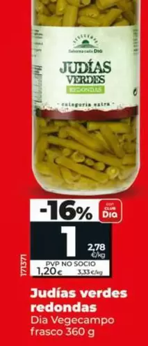 Judias Verdes Redondas