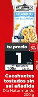 Dia Naturmundo - Cacahuetes Tostados Sin Sal Anadida