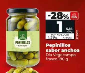 Dia Vegecampo - Pepinillos Sabor Anchoa