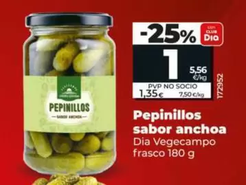 Dia Vegecampo - Pepinillos Sabor Anchoa