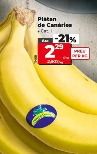 Platano De Canarias