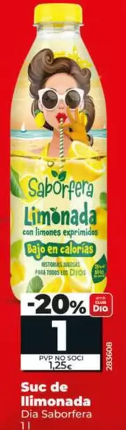 Dia Saborfera - Zumo De Limonada