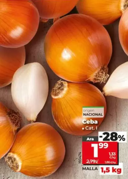 Cebolla 