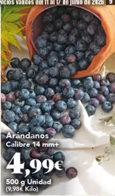 Arandanos Calibre