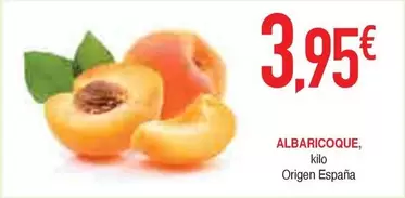 origen - Albaricoque