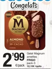 Frigo - Gelat Magnum Ametlles