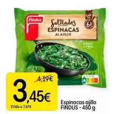Findus - Espinacas Ajillo