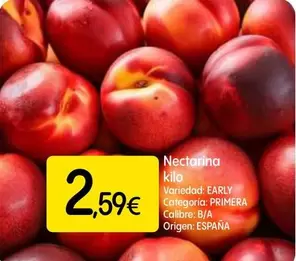 Nectarina