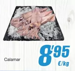Calamar
