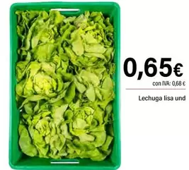 Lechuga Lisa Und