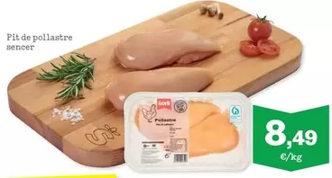 Sorli - Pit De Pollastre Sencer