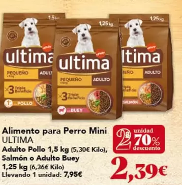 Última - Alimento Para Perro Mini