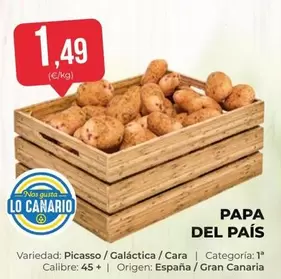 origen - Papa Del País