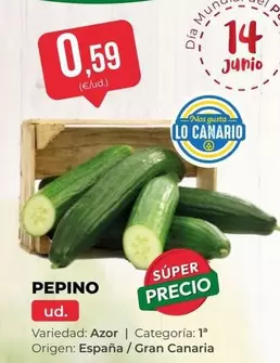 origen - Pepino