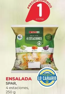 Spar - Ensalada