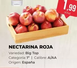 origen - Nectarina Roja