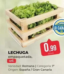origen - Lechuga