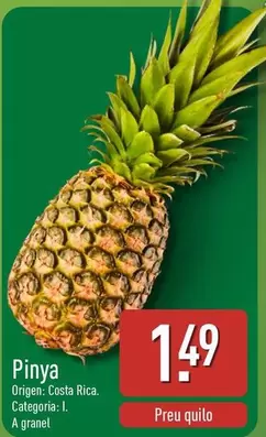 Pinya
