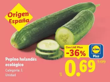Pepino Holandes Ecologico