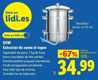 Gsw - Extractor De Zumo Al Vapor