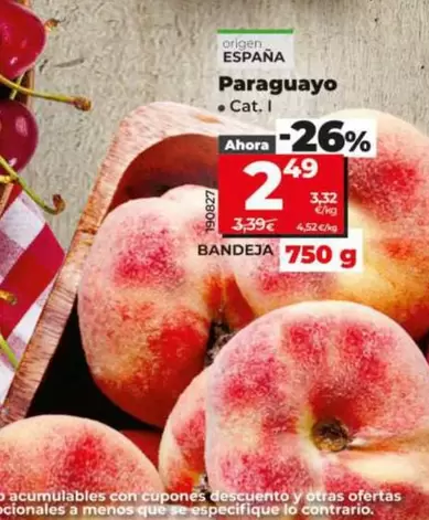 Paraguayo
