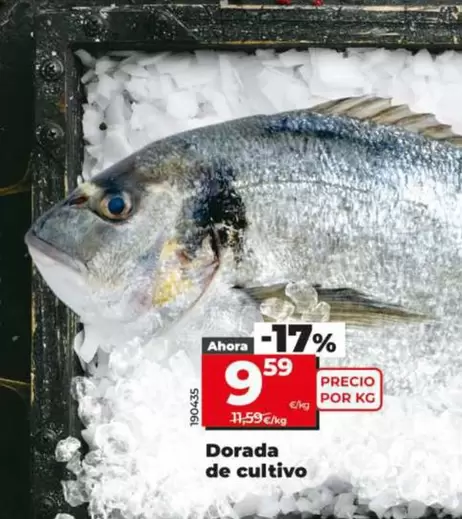 Dorada De Cultivo