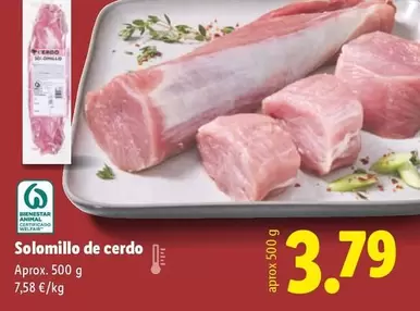Solomillo De Cerdo