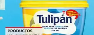 Tulipán - Margarina Sin Aceite De Palma Con Sal