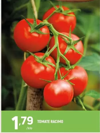 Tomate Racimo