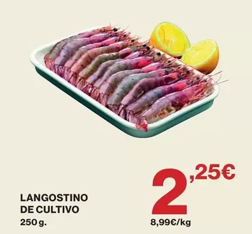 Langostino De Cultivo