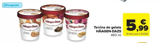 Häagen-Dazs - Terrina De Gelats