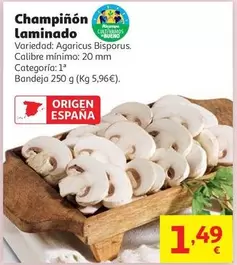Champiñón Laminado