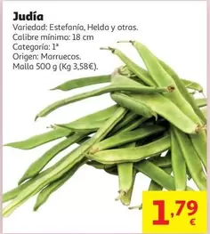 origen - Judia