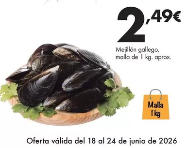 Gallego - Mejillon , Malla