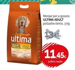 Última - Menjar Per A Gossos