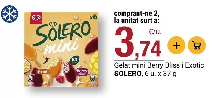 Solar Viejo - Gelat Mini Berry Bliss I Exotic