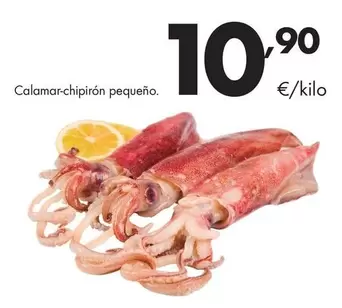 Calamar-Chipiron Pequeño