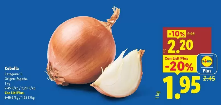 Cebolla