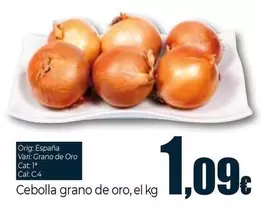 Cebolla Grano De Oro