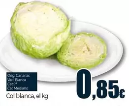 Col blanca