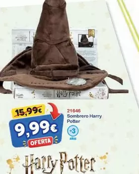 Sombrero Harry Potter