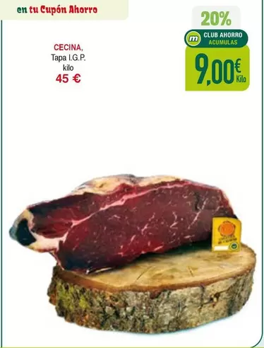 Cecina