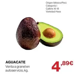 origen - Aguacate