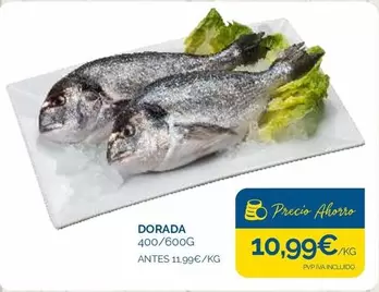 dorada - Dorada